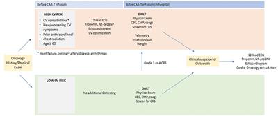 Cardiovascular disease and chimeric antigen receptor cellular therapy